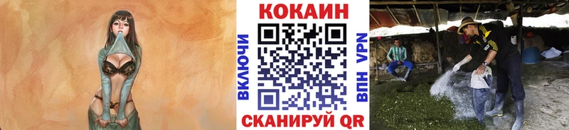 COCAIN 97%  Апатиты 