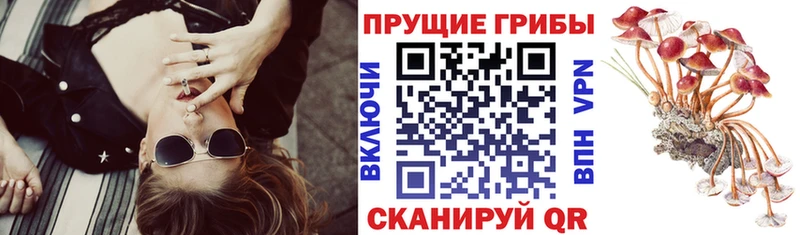 Псилоцибиновые грибы GOLDEN TEACHER  где продают   Апатиты 