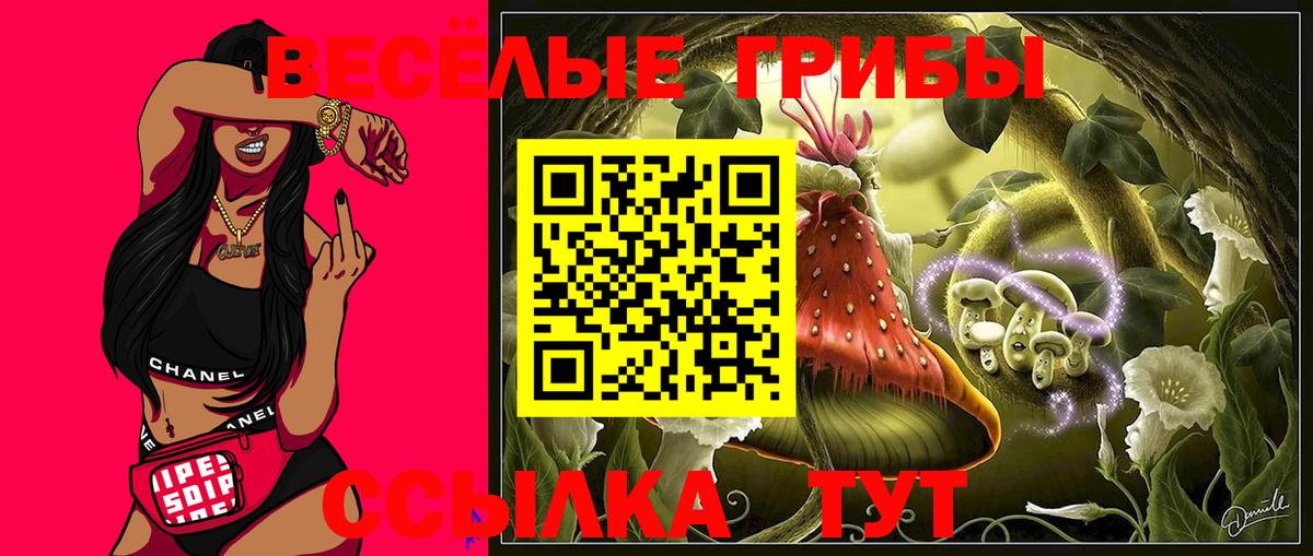 Псилоцибиновые грибы MAGIC MUSHROOMS Апатиты