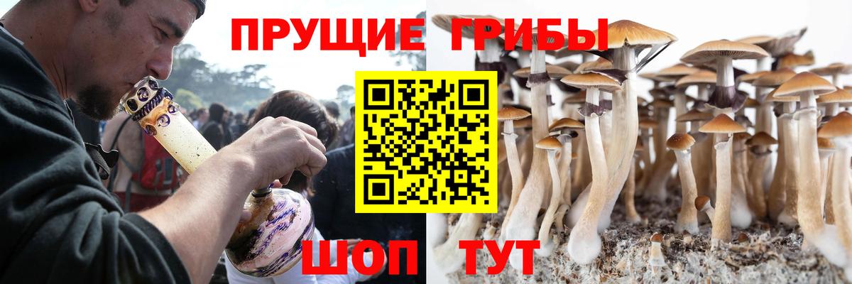 Апатиты  Галлюциногенные грибы MAGIC MUSHROOMS  Вход с VPN  Псилоцибиновые грибы Cubensis 