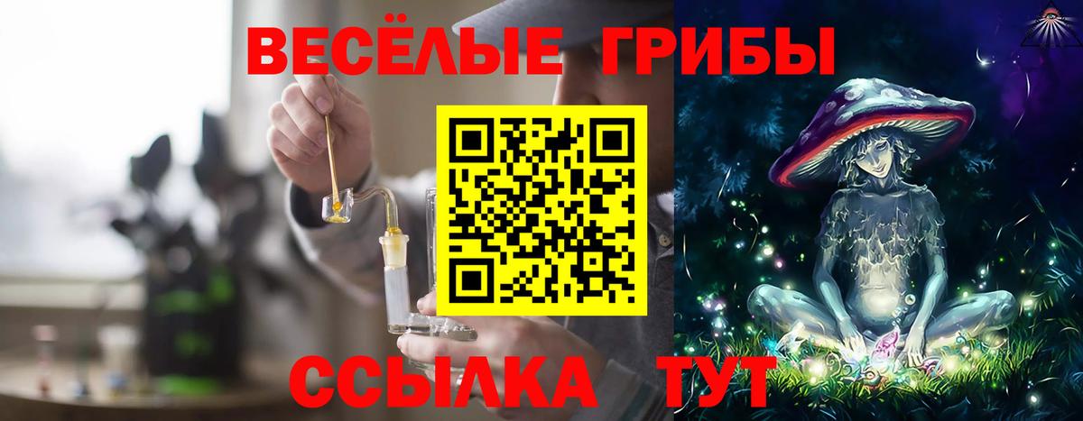 Галлюциногенные грибы Psilocybine cubensis  Апатиты 