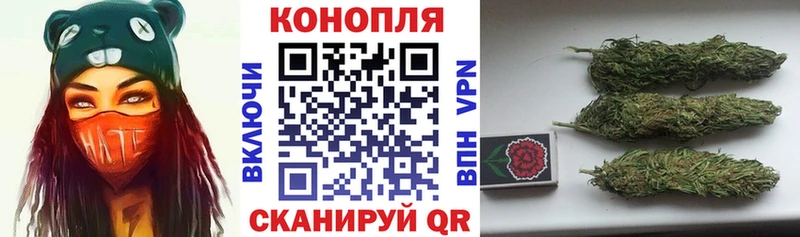 где купить наркоту  Апатиты  Каннабис конопля 